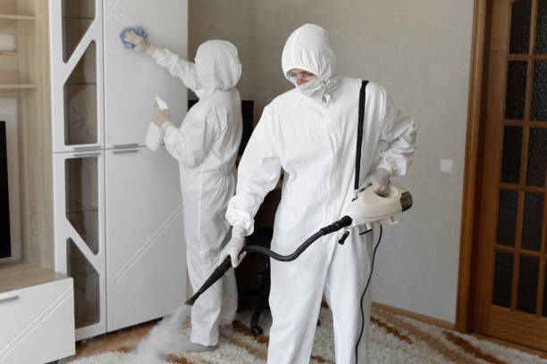 Affordable Sewage Cleanup solutions in Wadmalaw Island, SC